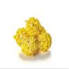 6 Pack - Gourmet Yellow Popcorn Balls - Vanilla Flavored - Small Batch (Yellow) Popcorn Ball view 3