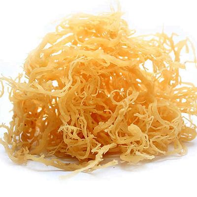 Generic Raw Wildcrafted Sea Moss (1lb)