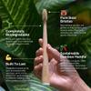 PRIMALS Boar Bristle & Bamboo Toothbrush (4-Pack) - Premium Boar Bristles - Fully Biodegradable - Plastic & Nylon Free - Quick Dry Design view 2