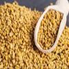 (25KG & 25 KG) Farm Royale Methi Dana/Fenugreek whole - 1+1 combo | 100% Natural, Pure, and Fresh Culinary Delight/Export quality view 4