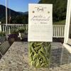 Conte Foglie di Ulivo Spinaci - Authentic Italian Spinach Pasta in Olive Leaf Shape, Imported from Calabria, Italy - 500g view 1
