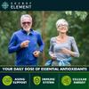 (2 PACK) Citrus Bergamot Extract 1000mg - Citrus Bergamot Supplement for Circulatory Health, Immunity, and Graceful Aging - 2x the potency of Citrus Bergamot 500mg - 240 Vegan Citrus Bergamot Capsules view 4
