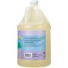 Ginger Lily Farms Botanicals Plant-Based Liquid Dish Soap, Concentrated Formula with Max Grease Cleaning Power, Cruelty-Free, Lavender Chamomile Scent, 1 Gallon Refill (128 Fl. Oz.) view 2