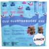 Clusterbucks Superfood Clusters  Grain-Free, Keto-Friendly Granola with Regeneratively Grown Sprouted Buckwheat Gluten-Free, Low-Carb, Organic Healthy Snack (6 Ounce (Pack of 3), Blueberry Crisp) view 1