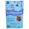 Clusterbucks Superfood Clusters  Grain-Free, Keto-Friendly Granola with Regeneratively Grown Sprouted Buckwheat Gluten-Free, Low-Carb, Organic Healthy Snack (6 Ounce (Pack of 6), Blueberry Crisp) view 1