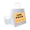 BAG BOX 100 Pack 8.25x4.3x10.6 Inch White Gift Bags with Handles,Bulk Kraft Paper Bags for Shopping, Retail, Merchandise, Wedding, Party Favors, Paper Grocery Sacks view 1