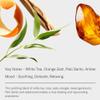 Aromatech White Tea Aroma Essential Oil Blend: Luxury Hotel inspired Aromatherapy with White Tea, Orange & Palo Santo for Ultrasonic Diffusers & Nebulizers - 2 fl oz, 60 mL view 2