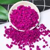 JLecker Freeze Dried Dragon Fruit Cubes for Drinks 3.52oz/100g, Dehydrated Dragonfruit (Pitaya) Chunks for Smoothies, Snacking, No Sugar Added & Preservatives view 3