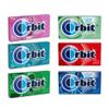 Snackivore Orbit Gum Bulk Variety 6 Pack. Sugar Free Gum, Chewing Gum, Bulk Gum Packs, Mint Gum, Spearmint Gum, Sugarless Gum, Pack of Gum, Orbit Gum Pack view 1