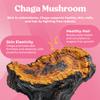Fungiments Super Cute - Mushroom Supplement - Chaga Mushrooms, Biotin, Collagen Peptides, Keratin, Vitamin C, Bamboo Extract - Healthy Skin and Smooth Wrinkles (30 Mushroom Gummies) view 2