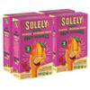 SOLELY - Organic Mango & Passion Fruit Whole Fruit Gummies (Pack of 4 Boxes, 5 Bags per Box) - Fresh Fruit - Healthy Snacks for Adults & Kids - Non GMO, Vegan Snacks, Shelf Stable - 20 Bags (3.5 oz) view 1
