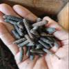 AYURVEM HERBS 250gram Pepper Long | Pipal | Pippali | Whole Long Pepper | Sabut Peepli | Pippali | Pipal Badi | Pippali view 1