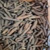 AYURVEM HERBS 250gram Pepper Long | Pipal | Pippali | Whole Long Pepper | Sabut Peepli | Pippali | Pipal Badi | Pippali view 2