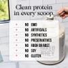 NAKED Whey Chocolate Protein Powder - Only 3 Ingredients - Grass Fed Whey Protein Powder, Organic Chocolate and Organic Coconut Sugar, No GMO, No Soy, and Gluten Free - 24 Servings view 4
