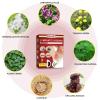 BXQJRJ 24Pcs/Box Herbal Lymph Nodes Patch,Lymphatic Drainage Patch/Patches,Herbal Lymphatic Drainage Care Patch,Neck Lymph Nodes Patch, Lymphatic Massage for Men and Women view 2
