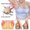 BXQJRJ 24Pcs/Box Herbal Lymph Nodes Patch,Lymphatic Drainage Patch/Patches,Herbal Lymphatic Drainage Care Patch,Neck Lymph Nodes Patch, Lymphatic Massage for Men and Women view 4