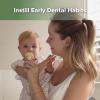 haakaa Infant Toothbrush, Easy to Hold 360 Baby Toothbrush, Train 6month+ Infants Babies and Toddlers for Oral Hygiene, Teether Effect for Sore Gums, 1pc (Cream) view 2