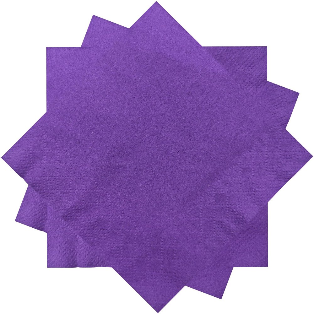 300 Count Purple Beverage Napkins,2-Ply Purple Cocktail Napkins,Disposable Purple Party Napkins for Dinner Wedding Birthday Party Graduation