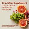 Snap Supplements Circulation Health, Blood Circulation Supplements to Support Healthy Blood Flow and Circulation, 250g view 2