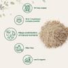 Micro Ingredients Organic Mushroom 10-in-1 Blend, 5 oz | Chaga, Lions Mane, Cordyceps & More | Great for Smoothies & Daily Use | Non-GMO, Vegan Friendly view 3