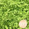 1 LB Fresh Green Crinkle Cut Paper Shred Filler Great for Gift Wrapping, Fresh Green Basket Fillers, Birthday, Gift Wrapping, Halloween Thanksgiving Christmas Easter Party Decor Filling Supplies view 1