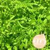 1 LB Fluorescent Green Crinkle Cut Paper Shred Filler Great for Gift Wrapping, Basket Fillers, Birthday, Gift Wrapping, Anniversary, Halloween Thanksgiving Christmas Party Decor Filling Supplies view 1