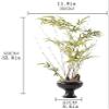 Bonsai Tree Chinese Zen Green Plant Porch Aisle Soft Decoration Simulation Plant Asparagus Bonsai Ornament for Garden Decoration and Desktop Display view 2