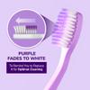 HIMALAYA PINKSALT Purple Toothbrush - Purple Indicater Medium Toothbrushes for Adults, Plaque Remover for Teeth, Tapered Bristles Gentle on Teeth and Gum, Deep Clean Toothbrush view 3