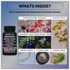 11-in-1 Nootropic Supplement: Supports Memory & Cognition - 100mg Ginkgo 150mg Bacopa 300mcg Huperzine 200mg L-Theanine 150mg L-Tyrosine & Bioactive B-Complex w/ 5-MTHF - 1,100mg+ Serving - 60 Count view 2