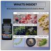 11-in-1 Methylated B-Complex Supplement: 680mcg L-Methylfolate(5-MTHF) Thiamine(B1) Riboflavin(B2) Pyridoxal(B6) Methylcobalamin(B12) - VegD3 + Nootropics - 1,100mg+ Serving - 60 Count view 2