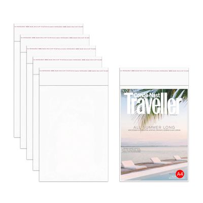 CinnanniC 100PCS Clear Cellophane Bags 9x12'' Self Sealing Plastic Bags Resealable Cello Poly Bags 2mil for A4 Clothes Shirts Pants Party Decorative Gifts Flyers