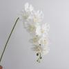Simulation of 9 Phalaenopsis Phalaenopsis Orchids Fake Floral AAOGATOangement view 1