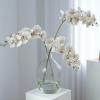 Simulation of 9 Phalaenopsis Phalaenopsis Orchids Fake Floral AAOGATOangement view 2