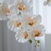 Simulation of 9 Phalaenopsis Phalaenopsis Orchids Fake Floral AAOGATOangement view 4
