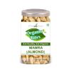 ORGANIC BITES Mamra (Almond) 500 Gram Airtight Container view 1