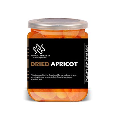 HUNGARY HARVEST Dried Apricot 500 Gram Airtight Container