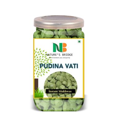 NATURE'S BRIDGE Pudina Vati 300 Gram Airtight Container