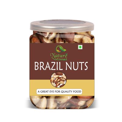 NATURE CONNECT Brazil Nuts 500 Gram Airtight Container