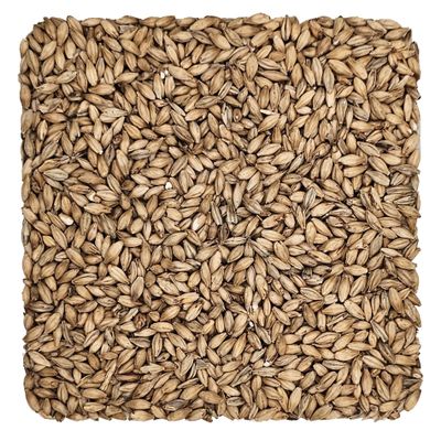 Home Brew Ohio Ale Grain 1lb
