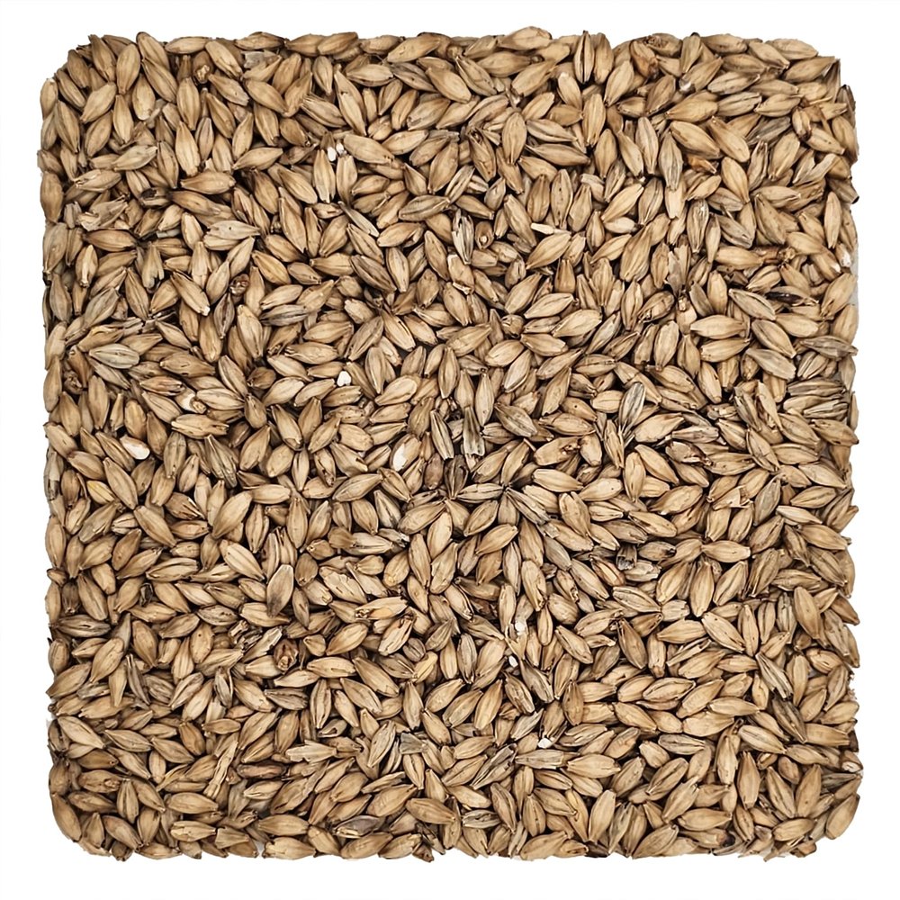 Home Brew Ohio Ale Grain 1lb