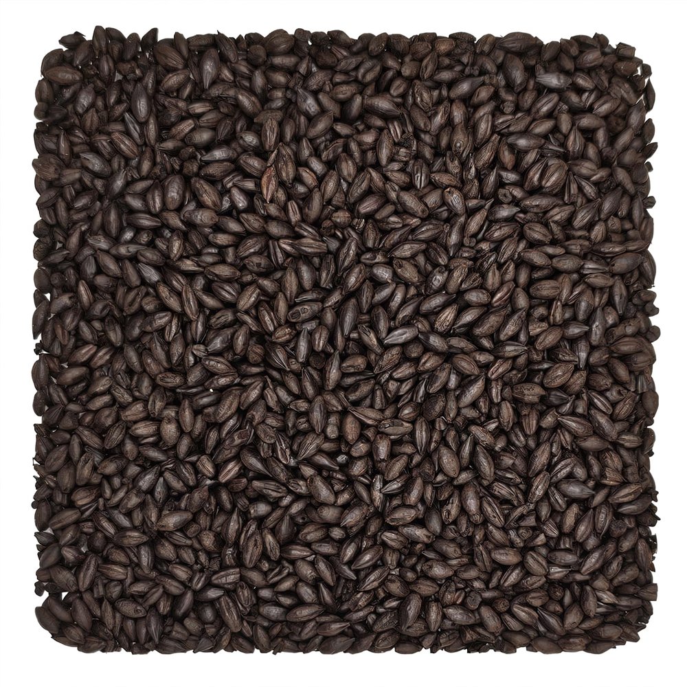 Home Brew Ohio Coffee Malt Grain 1lb