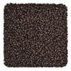 Home Brew Ohio Coffee Malt Grain 1lb view 1