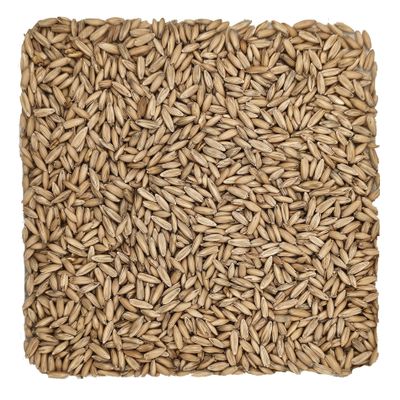 Home Brew Ohio Malted Oats Grain 1lb