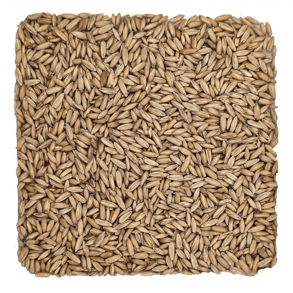 Home Brew Ohio Malted Oats Grain 1lb