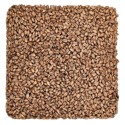 Home Brew Ohio Oak Smoked Wheat Grain 1lb