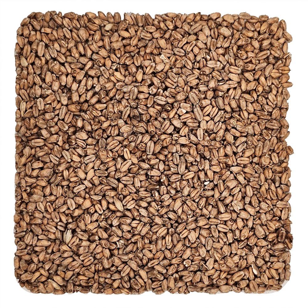Home Brew Ohio Oak Smoked Wheat Grain 1lb