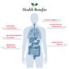 Bifidobacterium Lactis Probiotic Powder 500 Billion cfu's | Made in USA | No Additives | Direct from Manufacturer | No Third-Party Storage | Immune Support | B. Lactis | 60 Grams (2.11 Oz) view 4