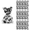 Fun Express 5 x 11 1/2 Dragon Cellophane Bags - 12 Pieces view 1