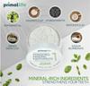 2 Pack of Primal: Life Organics!! - Dirty Mouth Toothpowder, Tooth Cleaning Powder, Flavored Essential Oils with Natural Kaolin & Bentonite Clay, Paleo, Organic, Spearmint, 1 oz LuxProdX Sticker view 2
