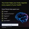 Gundry MD Power Phenols Brain Health Supplement for Cognition, Focus, Motivation, Productivity, and Energy - (30 Servings) view 3
